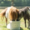 Natuly Bokashi voor grazers & pluimvee