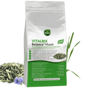 Vitalbix Balance+ Muesli