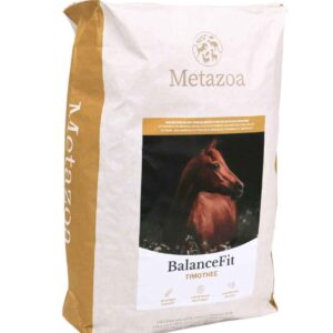 Metazoa BalanceFit (FitRight) Timothee