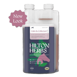 Hilton Herbs Calm & Collected Gold