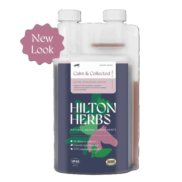 Hilton Herbs Calm & Collected Gold