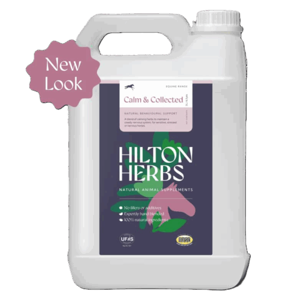 Hilton Herbs Calm & Collected Gold