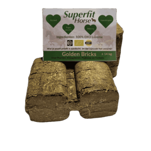 Superfit Horse Golden Bricks