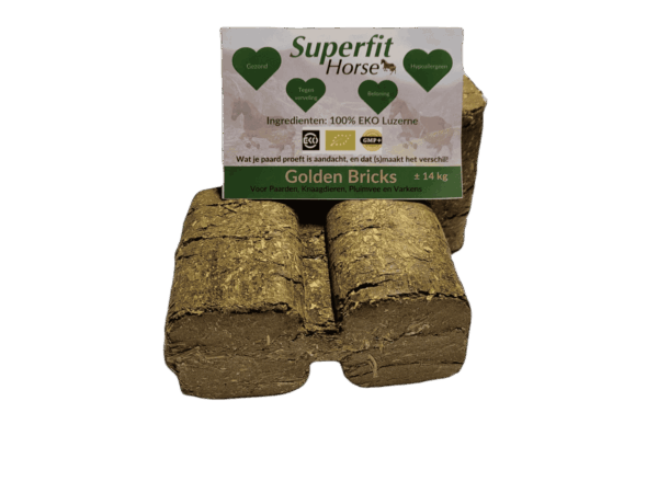 Superfit Horse Golden Bricks