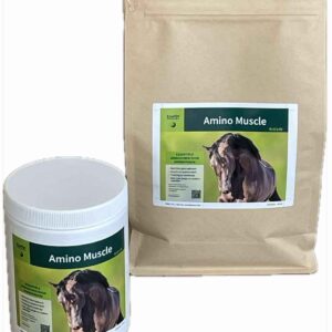 EquiFyt Amino Muscle