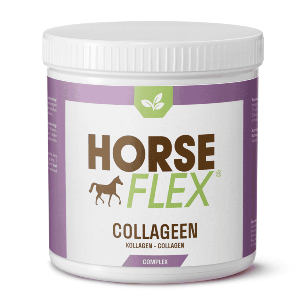 HorseFlex Collageen pot HorseFlex Collageen Complex