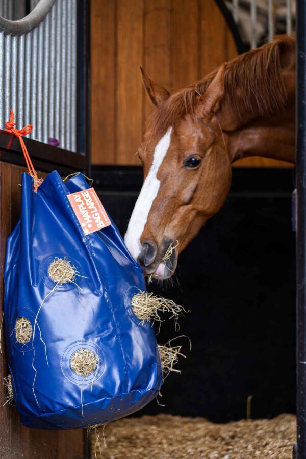 Horse Originals HayPlay Bag