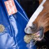 Horse Originals HayPlay Bag