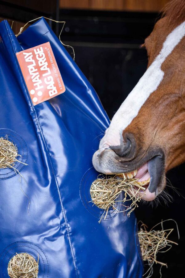 Horse Originals HayPlay Bag