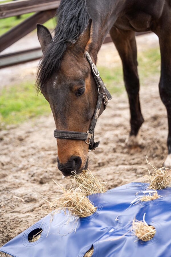 17 Horse Originals - (Webformat) Horse Originals HayPlay ButtonBag