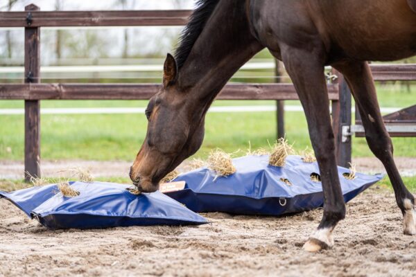18 Horse Originals - (Webformat) Horse Originals HayPlay ButtonBag