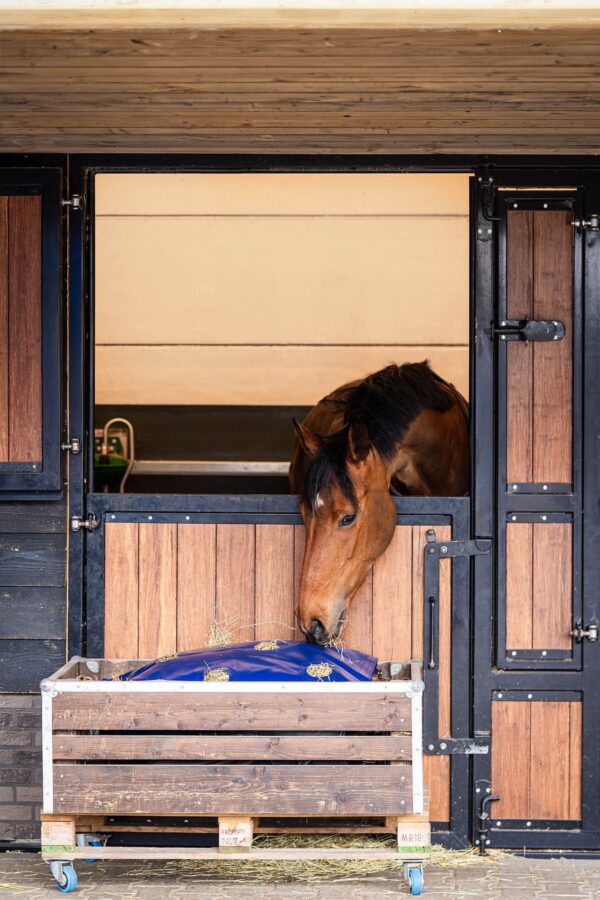 22 Horse Originals - (Webformat) Horse Originals HayPlay ButtonBag
