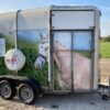 Ifor Williams tweepaardstrailer