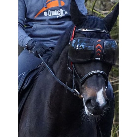 zonnebril paard 1 eQuick eVysor Oogbescherming