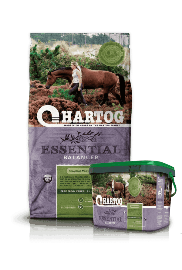 Essential Hartog Essential
