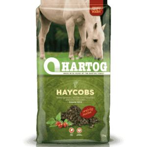 Hartog Haycobs