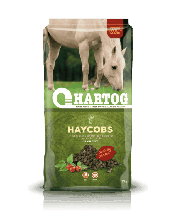 Haycobs Hartog Haycobs
