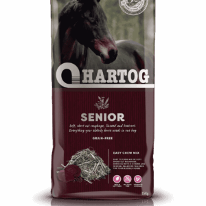 Hartog Senior
