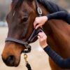 ThinLine Halster Bakstuk Beschermer