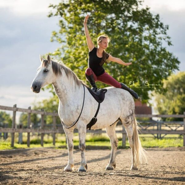 Bareback Vervang Singel1 ThinLine Bareback Pad Vervang Singel