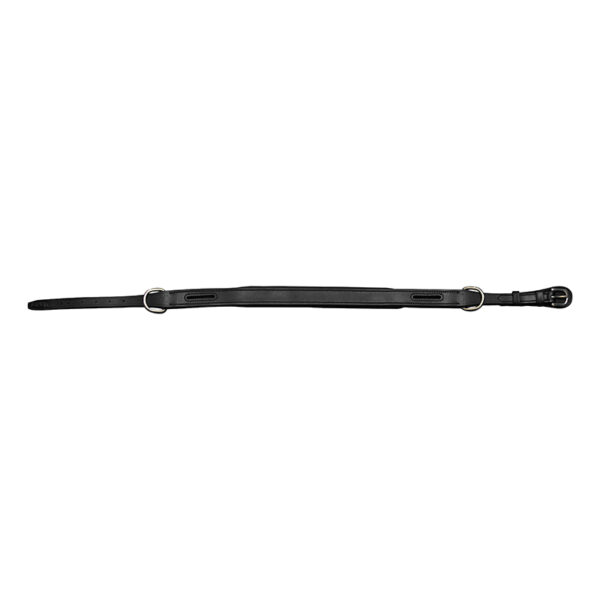 Bitloze neusriem1 ThinLine Bitloze Neusriem Hoofdstel Converter