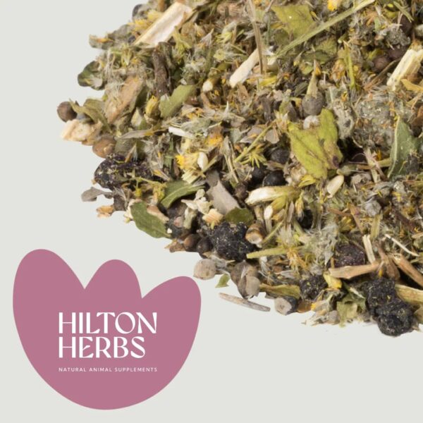 Cush X los Hilton Herbs Cush X