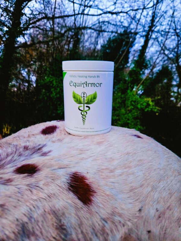 EquiArmor Holistic Healing Hands EquiArmor