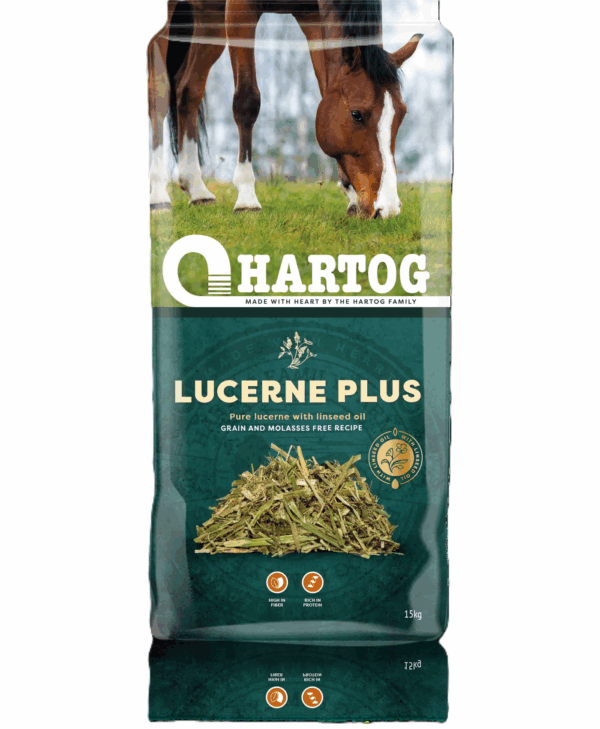 Hartog Lucerne Plus