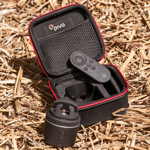 Pivo Travel Case Mini