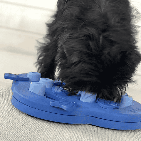 Outward Hound Nina Ottosson Hide N' Slide Purple Level 2