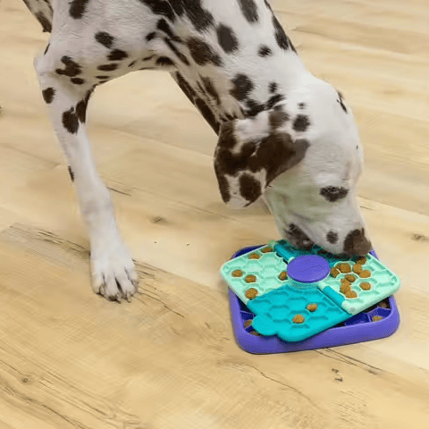 Outward Hound Nina Ottosson Dog Lick N' Flip Level 1