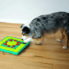 Mulitpuzzle2 Outward Hound Nina Ottosson Multipuzzle Level 4