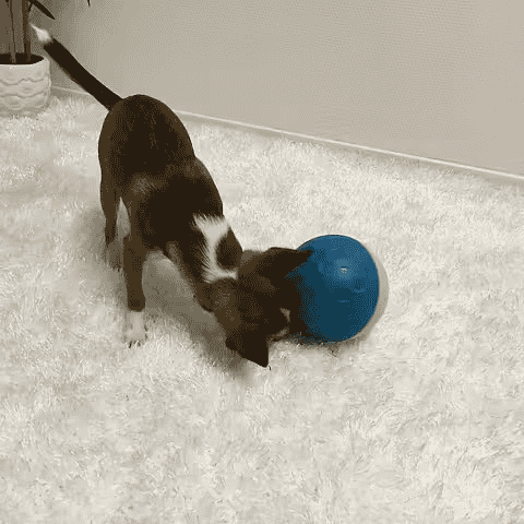 Treat Tumble Small3 Nina Ottosson Treat Tumble