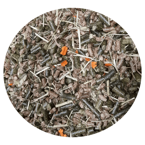 Fibra Complete Body Booster