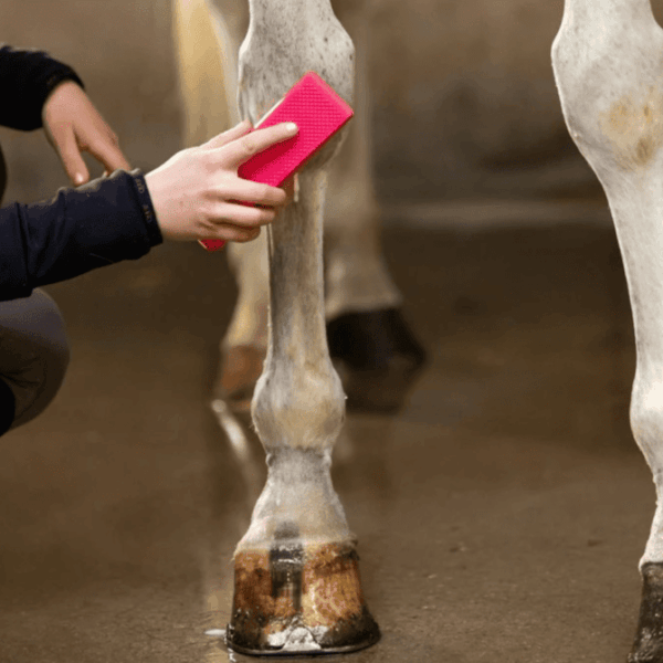 Grooming Brush Roze5 Excellent Horse Grooming Brush