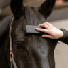 Grooming Brush Zwart4 Excellent Horse Grooming Brush