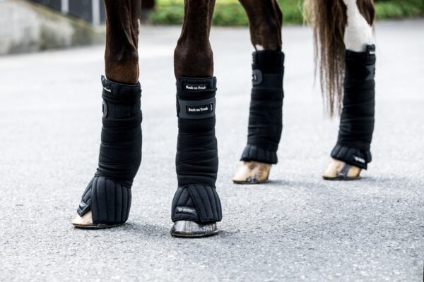 Back on Track Scandic PK Onderbandage