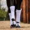 Back on Track Scandic PK Onderbandage