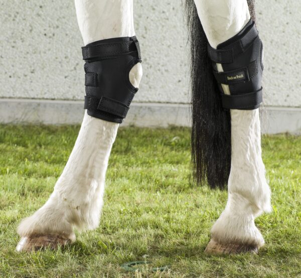 2025-2026 Hock Boot with Hole_On-Horse Back on Track Spronggewrichtbeschermer met opening