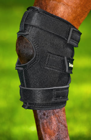 2025 Hock Boot with Hole_On-Horse_LOW-RES Back on Track Spronggewrichtbeschermer met opening