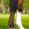 2035 Knee Brace_Close-Up_LOW-RES Back on Track Kniebeschermer