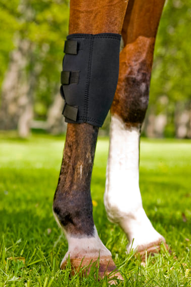 2035 Knee Brace_Close-Up_LOW-RES Back on Track Kniebeschermer