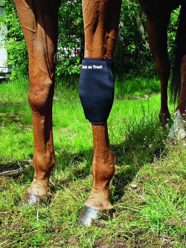 2036 Knee Brace_Close-Up Back on Track Kniebeschermer