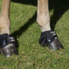 Back on Track Springschoenen Performance