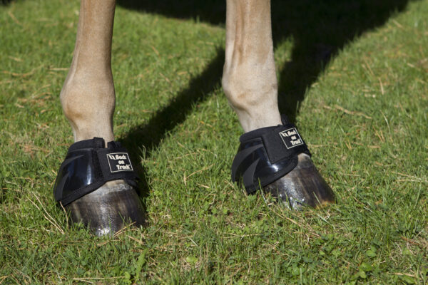Back on Track Springschoenen Performance