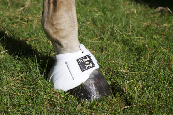 Back on Track Springschoenen Performance