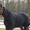 Back on Track Fleecedeken Supreme met Vaste Hals