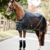 Back on Track Scandic PK Onderbandage