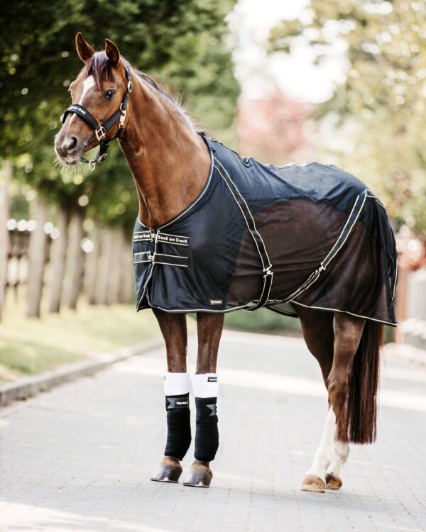 Back on Track Scandic PK Onderbandage