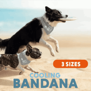 Cooling Bandana Sizes CoolPets Cooling Bandana